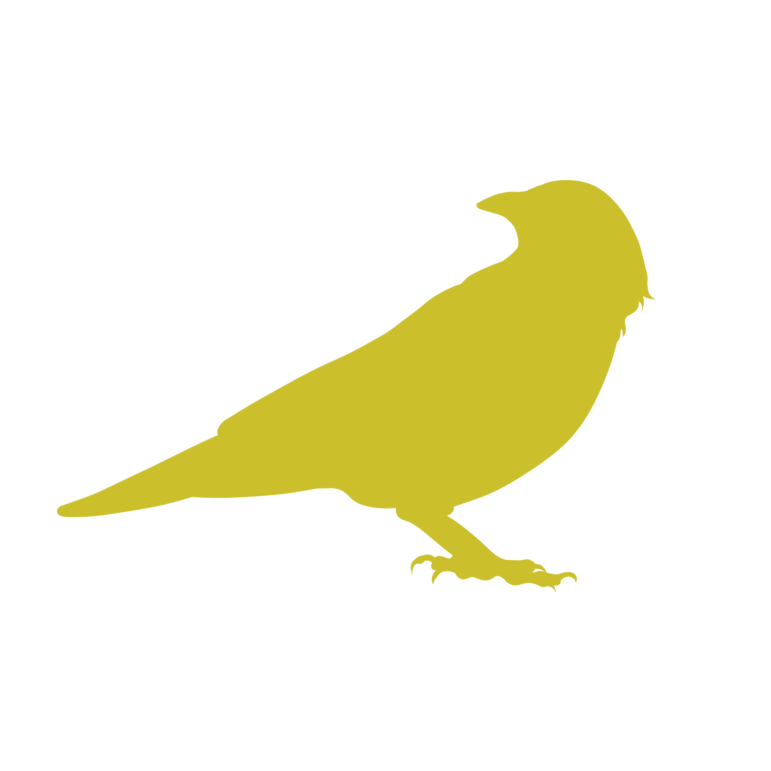 colin's+crow.png